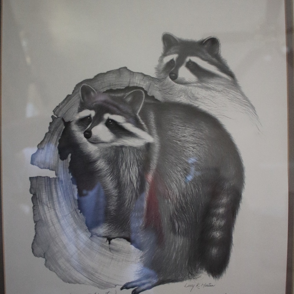 BEAUTIFUL RACCOON SET BY LARRY K. MARTIN (PAIR)